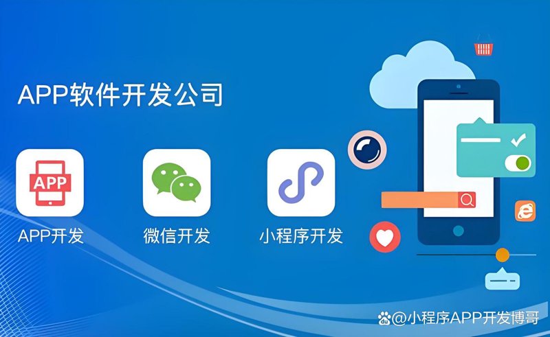 上海软件开发:让创新引领未来